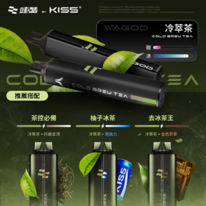 新品💥 WAGOO哇酷拋棄式6500口 by KIS5的高端品牌 磁吸組合 雙口味自由混搭 限時活動/滿十送一