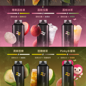 新品💥 WAGOO哇酷拋棄式6500口 by KIS5的高端品牌 磁吸組合 雙口味自由混搭 限時活動/滿十送一