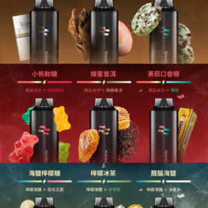 新品💥 WAGOO哇酷拋棄式6500口 by KIS5的高端品牌 磁吸組合 雙口味自由混搭 限時活動/滿十送一